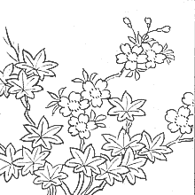 着物の文様-桜楓文