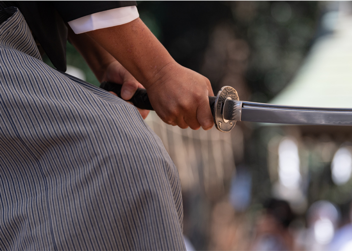 Images of Iaido