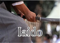 For Iaido