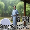 洗える着物 紗紬/夏物 男物 洗える着物 紗紬/夏物 男物