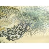 Washable Japanese picture for men's Haori lining No.4 Howk light brown beige