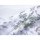 Washable men's Japanese picture for Haori lining No.7 Sansui, Mt. gray color