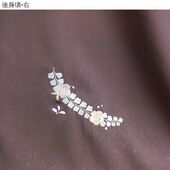 洗える着物 付下げ 刺繍 葡萄色地辻が花 光触媒消臭　後身頃・右