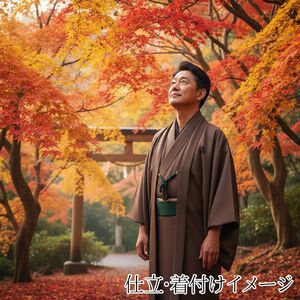 洗える男着物 紬(テイジンシルパール) Ｎｏ.21 ボルドーブラウン