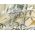 Washable haori's underfablic No.10 tiger desain goldyerrow color