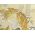 Washable haori's underfablic No.10 tiger desain goldyerrow color