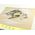 Japanese picture Washable men's Haori coat lining No.9 One Fuji, Two Hawks, Three Eagles, Light brown