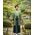 Washable Kimono Men's Kimono Manji（thin stripe） green 44cm Width No.6