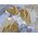 Washable haori's underfablic No.12 tiger and dragon desain blue gray color satin tone cloth