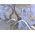 Washable men's haori lining No.1 Fujimichaya(Japanese-style café with a good view of Mt. Fuji) blue gray