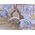 Washable haori's underfablic No.1 Mt.fuji and house at the lake desain blue gray color satin tone cloth