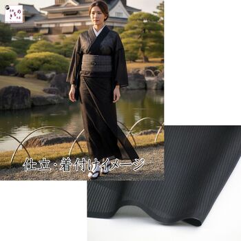 洗える着物 夏物 女性 駒絽 色無地 黒
