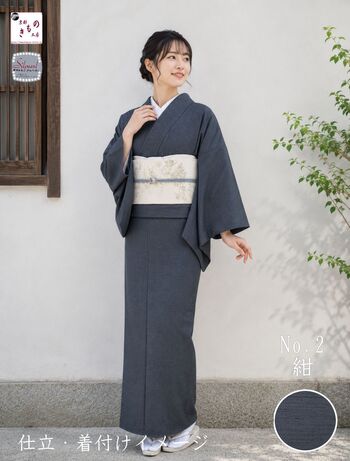 Washable Toray/Teijin Material Premium Plain Tsumugi (Navy) Women's Tailoring