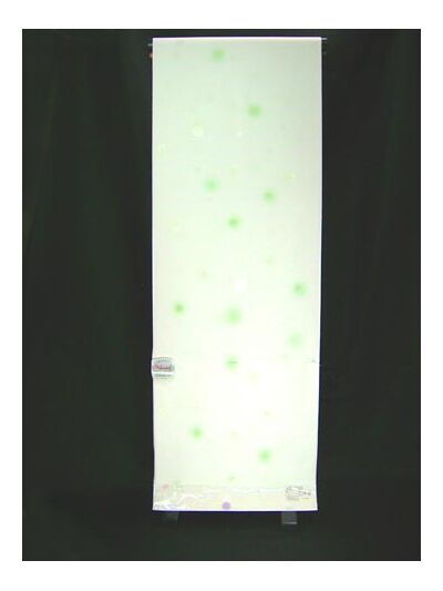 洗える長襦袢 水玉紋意匠 白地にぼかし 緑色
