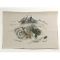Japanese painting on silk fabric, Auspicious pattern,Mt.Fuji and Dragon, ground color brown