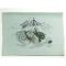 Japanese painting on silk fabric, Auspicious pattern,Mt.Fuji and Dragon, ground color green