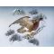 Japanese painting on silk fabric, Hawk and Mt.Fuji, ground color blue
