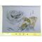 Japanese painting,Washable men's kimono with Haori lining No.12 Dragon and tiger gray
