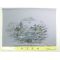Washable men's Japanese picture for Haori lining No.7 Sansui, Mt. gray color