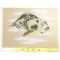 Japanese picture Washable men's Haori coat lining No.9 One Fuji, Two Hawks, Three Eagles, Light brown